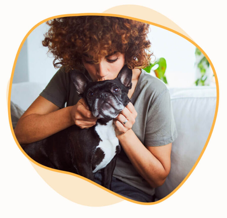 Dog Boarding In Delray Beach Fl at Helen Bearden blog